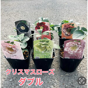 y3_ZbgIzNX}X[Y _u ԐF܂IIvc ʌ 3|bgc  ԕc Ԓd 񂹐A ϊ Ϗ v Ă₷ h i`K[f