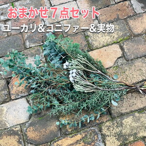 yڂ3tIIz܂7_Zbg{ڂ3[JRjt@[~bNXNX}X XbO [X Lbg Lbg ԍރZbg qo q [J X