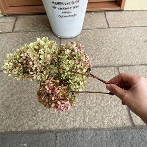 yAWTChCt[zy3{ZbgzyyzCeA  AeB[N XbO hC[X }t