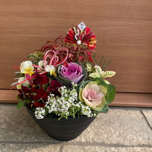 花 寄せ植え ギフトの人気商品 通販 価格比較 価格 Com