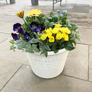 yCG[Eu[/p[vn̊񂹐Az G߂̊񂹐A A c 񂹐A  킢 ؂₩ v[g Mtg K[f Vzj JXj G߂̉ Ԃ̋ | t  H