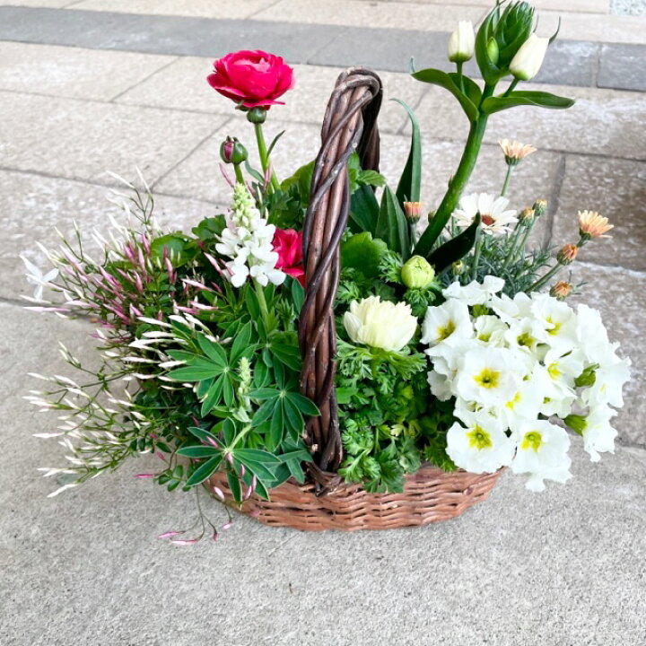花いっぱいの寄せ植え 季節の寄せ植え 華やか ギフト プレゼント 寄せ植え かわいい おしゃれ 苗 鉢植え 花いっぱいの寄せ植え 季節の寄せ植え 華やか ギフト プレゼント 寄せ植え かわいい おしゃれ 苗 鉢植え