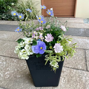 y₩ȃu[n̊񂹐Az 񂹐A A c G߂̊񂹐A  킢 ؂₩ v[g Mtg K[f Vzj JXj G߂̉ Ԃ̋ ̓ |   