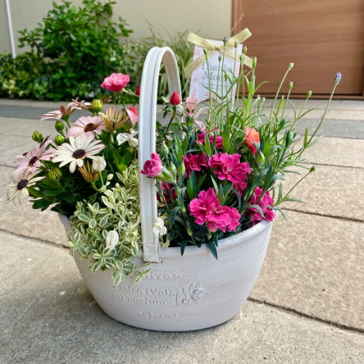 楽天市場】【お花が溢れるバスケット型の寄せ植え】季節の寄せ植え  