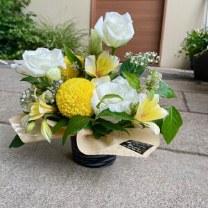 yyzAWg m   AW      @v O  ̐l̕ 蕨 ފ ~ l\ r