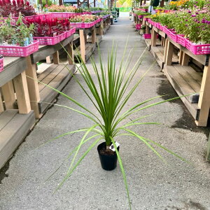 ガーデニング おしゃれ 花壇 観葉植物の人気商品 通販 価格比較 価格 Com