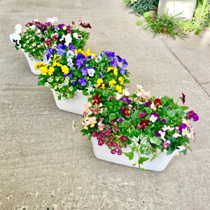 yIׂԐFzrIEpW[EACr[EԂ̊񂹐ACG[ u[ p[v sN 񂹐A K[fjO Ȋ񂹐A G߂̊񂹐A c  Mtg 蕨 v[