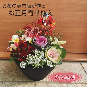 yɂ҂ȉN̗ǂԂIzƃsbNt 񂹐A   񂹐A Mtg v[g 蕨 A Zbg  ԕc G߂̉ VN} 