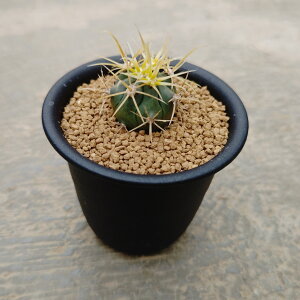 ytFJN^X z3 T{e A  A A i  CeA ϗtA O[ lC  v[g Mtg 