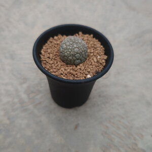 yvZEhgX ~O`kXzǗ@t3.5 T{e A  A A i  CeA ϗtA O[ lC  v[g Mtg  V