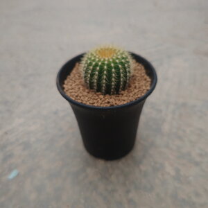 y[x}jA trXrizǗ@t3.5 T{e A  A A i  CeA ϗtA O[ lC  v[g Mtg  V