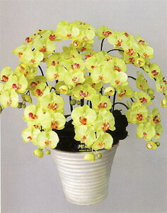 y{̂悤ȑԁzyG}zӒM@10{