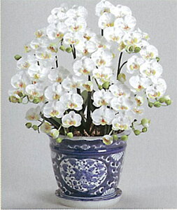 y{̂悤ȑԁzyG}zӒS@7{