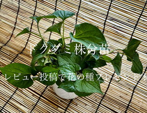 bhN_~c10{{Qlc1{bȖ򑐃n[ubA0KENEĂ₷bS҂ɂ߁I