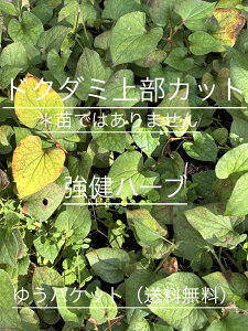 bhN_~@Jbg@n[u@cł͂܂@Z߃TCYł