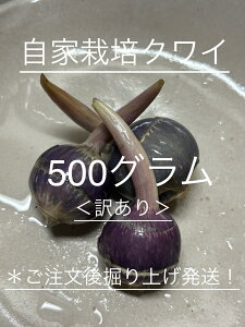 ���������@�������@���N���@���ƍ͔|�N���C�i���_��A���{��j�@�傫���A�`���I��