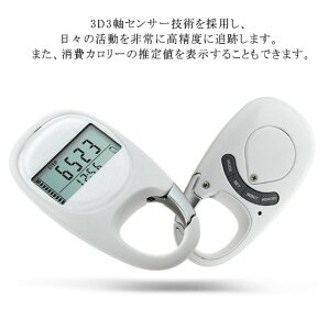 yX[p[Z[Ԍ20%OFF zv v fW^v dqv |PbgEobOCv ^ J[  XebvJE^[ Nbvt mɕ