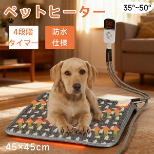 xbh}bg ybg q[^[ ybgp q[^[ ybg dCѕz ybgp dCѕz  q[^[ L q[^[ q q[^[ qL q[^[ V q[^[ 45X45 g[ ybg h ۉzbg