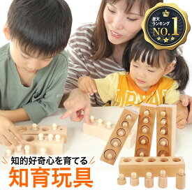 楽天市場 モンテッソーリ 2 歳 おもちゃの通販