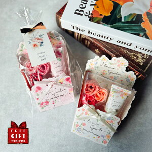 _tf[ P3{I  nhN[ Mtg ސE v`Mtg G bɂȂ܂ 肪Ƃ Zbg Mtg t[ oXy^  ZX   v[g  ZX