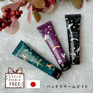 _tf[ P3{I nhN[ Mtg ސE G bɂȂ܂ 肪Ƃ  z ΂܂ ܂Ƃߔ lߍ킹 Z bg bsO  ސE A Yx x