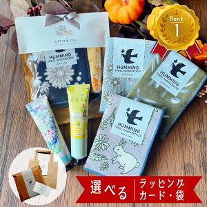 _tf[ P3{I nJ` nhN[ Mtg Zbg  av[g  50 ZX   v[g MtgZbg  ސE bɂȂ܂ 肪Ƃ 