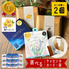 見える ホットアイマスク 2個 使い捨て ギフト プレゼント プチギフト 退職 異動 雑貨 1000円 おしゃれ アイマスク 男性 女性 温かい ホット アイ マスク 個包装 動物 かわいい ちょっとした お返し 友達 女友達 誕生日 癒し 彼女