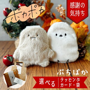 30日 P10倍! 選べる 繰り返し使える カイロカバー付き ミニカイロ シマエナガ イエティ ぷちぽか かわいい 冬 プレゼント ギフト 保温グッズ