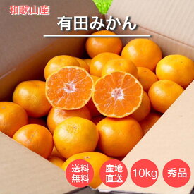 【先行予約】和歌山産　有田みかん　10kg　秀品(S～Lサイズ混合)