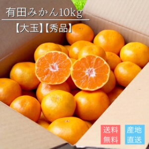 y2025N11{菇za̎RY@Lc݂@10kg@Gi()