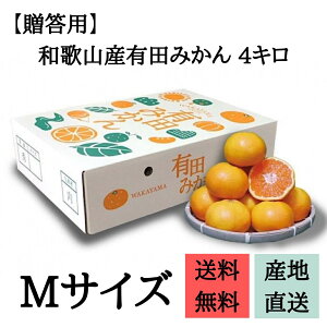 有田みかん 箱の人気商品 通販 価格比較 価格 Com 有田みかん 箱の人気商品 通販 価格比較 価格 Com