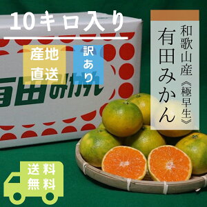 有田みかん 10kgの人気商品 通販 価格比較 価格 Com 有田みかん 10kgの人気商品 通販 価格比較 価格 Com