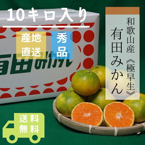 y2025N10{菇za̎RY@ɑ@10kg@Gi(S`LTCY)
