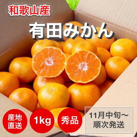 【先行予約】和歌山産　有田みかん　1kg　秀品(S～Lサイズ混合)