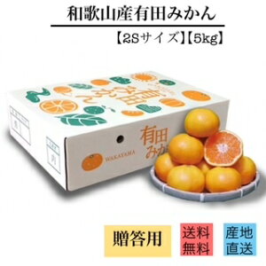 y2025N11{菇za̎RY@Lc݂@psϔt(2STCY)