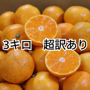 y2025N11{菇za̎RY@Lc݂@3kg@(2S`2LTCY)y󂠂z