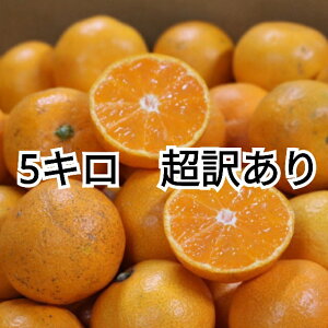 y2025N11{菇za̎RY@Lc݂@5kg@(2S`2LTCY)y󂠂z