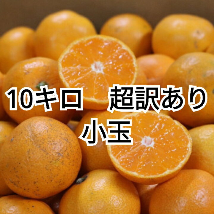 楽天市場】【先行予約】和歌山産 有田みかん 10kg 小玉 (3S～Sサイズ 