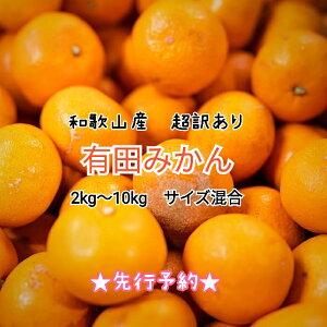 y2025N11{`1{za̎RY@Lc݂@3kg~10kg(eTCY)y󂠂z