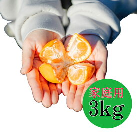 【2025年11月下旬ごろより順次発送】和歌山産　有田みかん　3kg（2S~Lサイズ混合）【訳あり】
