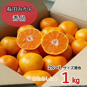 y2025N11{菇za̎RY@Lc݂@1kg@Gi(2S`LTCY)
