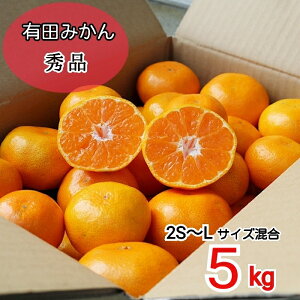 y2025N11{菇za̎RY@Lc݂@5kg@Gi(2S`LTCY)