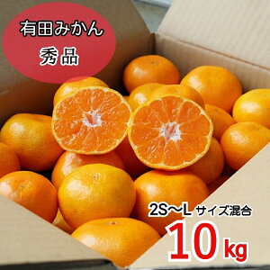 y2025N11{菇za̎RY@Lc݂@10kg@Gi(2S`LTCY)