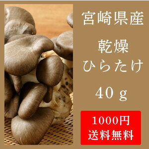 y1000~|bLzyzY Ђ炽 40gy Ђ炽  Y Y {Y {茧Y zyʌz