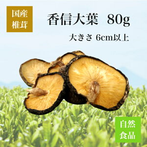 ő  Mt 80gyY@Y@BY@啪Y@{茧Y@F{Y@Y@ő@VC^P@@ؒő@؂@M@@o`@@