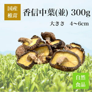 ő  Mt@300gyY@Y@BY@啪Y@{茧Y@F{Y@Y@ő@VC^P@@ؒő@؂@M@t@o`@@