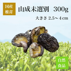 ő@ RIʁ@300gyY@Y@BY@啪Y@{茧Y@F{Y@Y@ő@VC^P@@ؒő@؂@R@Iʁ@o`@
