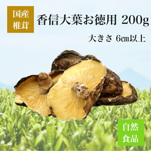 ő  Mt p 200gyY@Y@BY@啪Y@{茧Y@F{Y@Y@ő@VC^P@@ؒő@؂@t@p@o`@