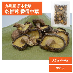 乾燥 しいたけの人気商品 通販 価格比較 価格 Com