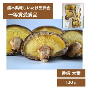 yi] ꓙ܎ܕiz ő ̐ Mt 100g@i(Mtg)  Ε N  Nn ~Mtg 蕨  yY N N j Ԃ  